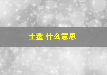 土鳖 什么意思